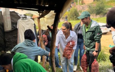 ‘Papa’ Todos, una iniciativa que une y respalda el esfuerzo de nuestros campesinos.